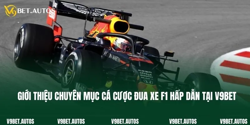 Giới thiệu chuyên mục cá cược đua xe F1 hấp dẫn tại V9bet