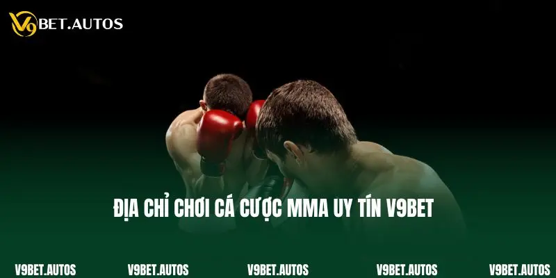 Cá Cược Mma - Thể Loại Cược Độc Đáo Mới Nhất Tại V9bet Địa chỉ chơi cá cược MMA uy tín V9bet