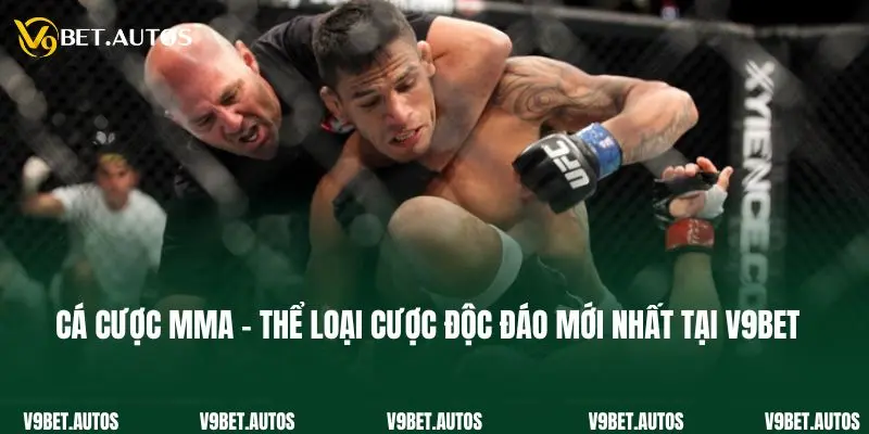 Cá Cược Mma - Thể Loại Cược Độc Đáo Mới Nhất Tại V9bet Cá Cược Mma - Thể Loại Cược Độc Đáo Mới Nhất Tại V9bet