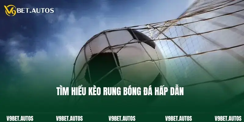 Tìm hiểu kèo rung bóng đá hấp dẫn