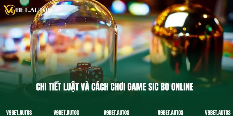 Sic Bo - Tựa Game Casino Đáng Trải Nghiệm Nhất 2025 Chi tiết luật và cách chơi game sic bo online
